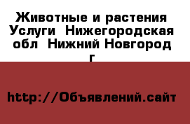 Животные и растения Услуги. Нижегородская обл.,Нижний Новгород г.